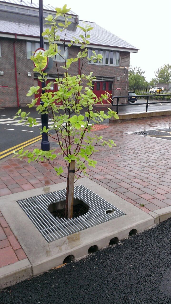 Steel Grating For Protect Tree