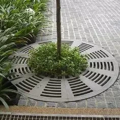 Iron Tree Grates